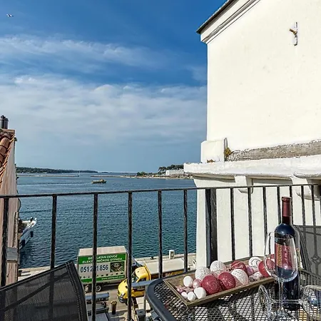 公寓 Nikola 波雷奇